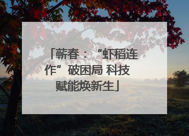 蕲春：“虾稻连作”破困局 科技赋能焕新生